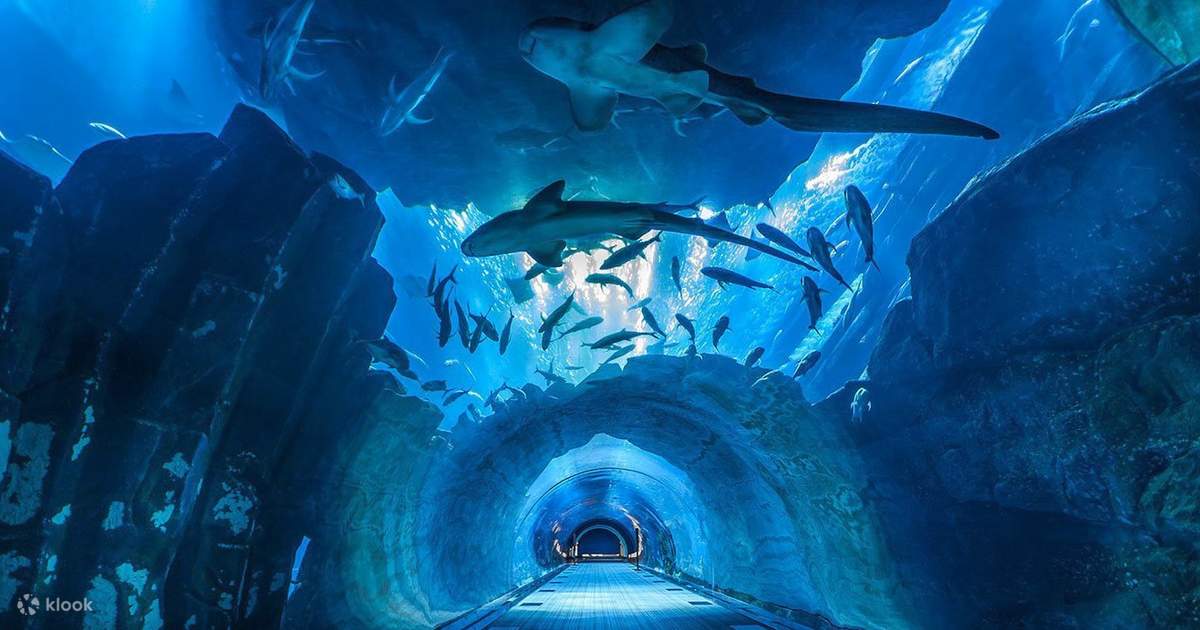 SEA LIFE Bangkok Ocean World Ticket BKK Airport Pick Up In Thailand 
